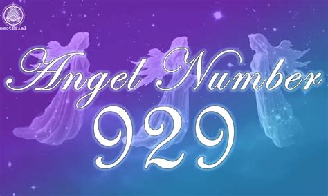 angel number 929|929 twin flame number meaning.